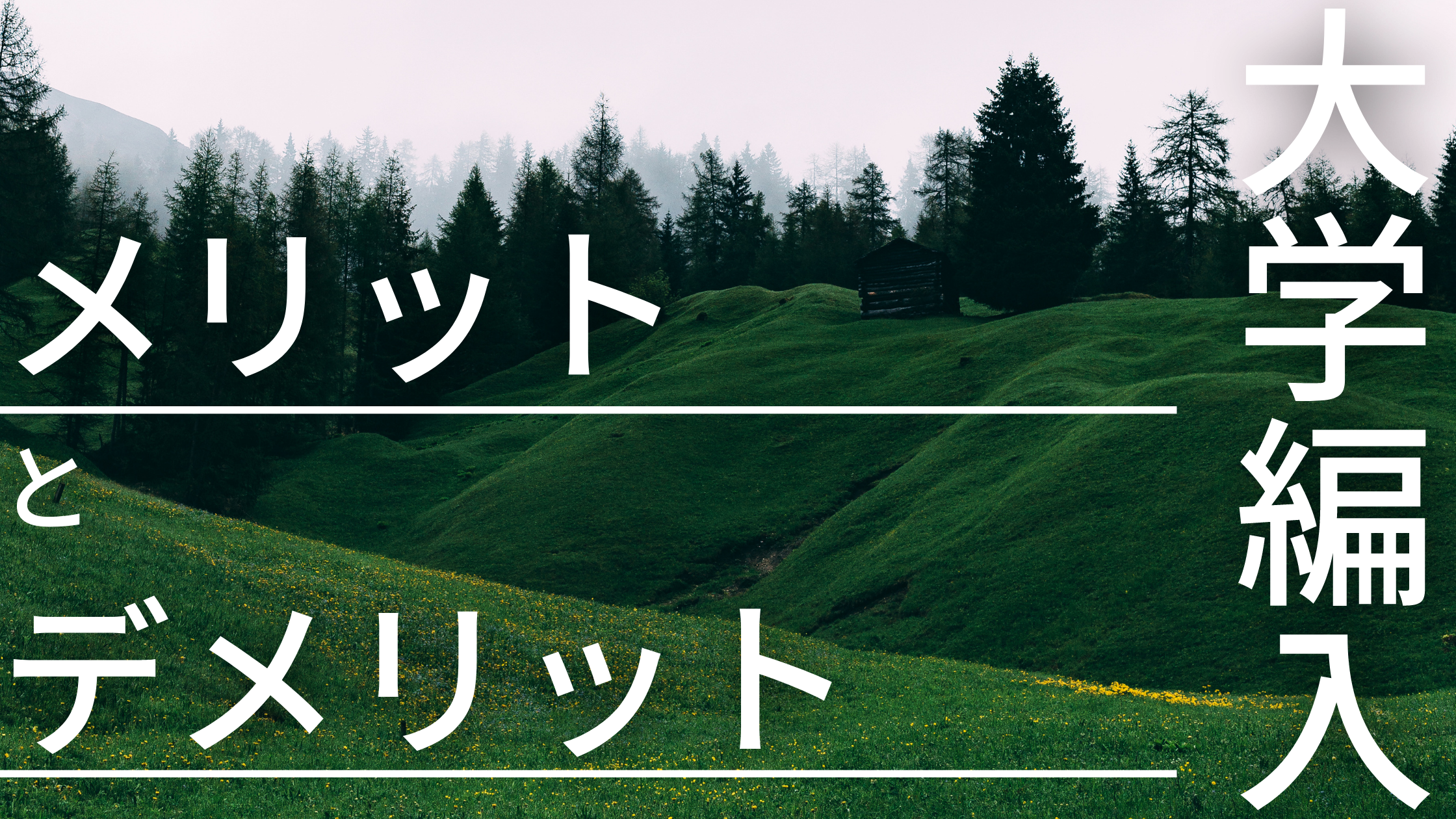 高専から大学編入のメリットとデメリット 経験者が解説 物理を勉強するたぬき